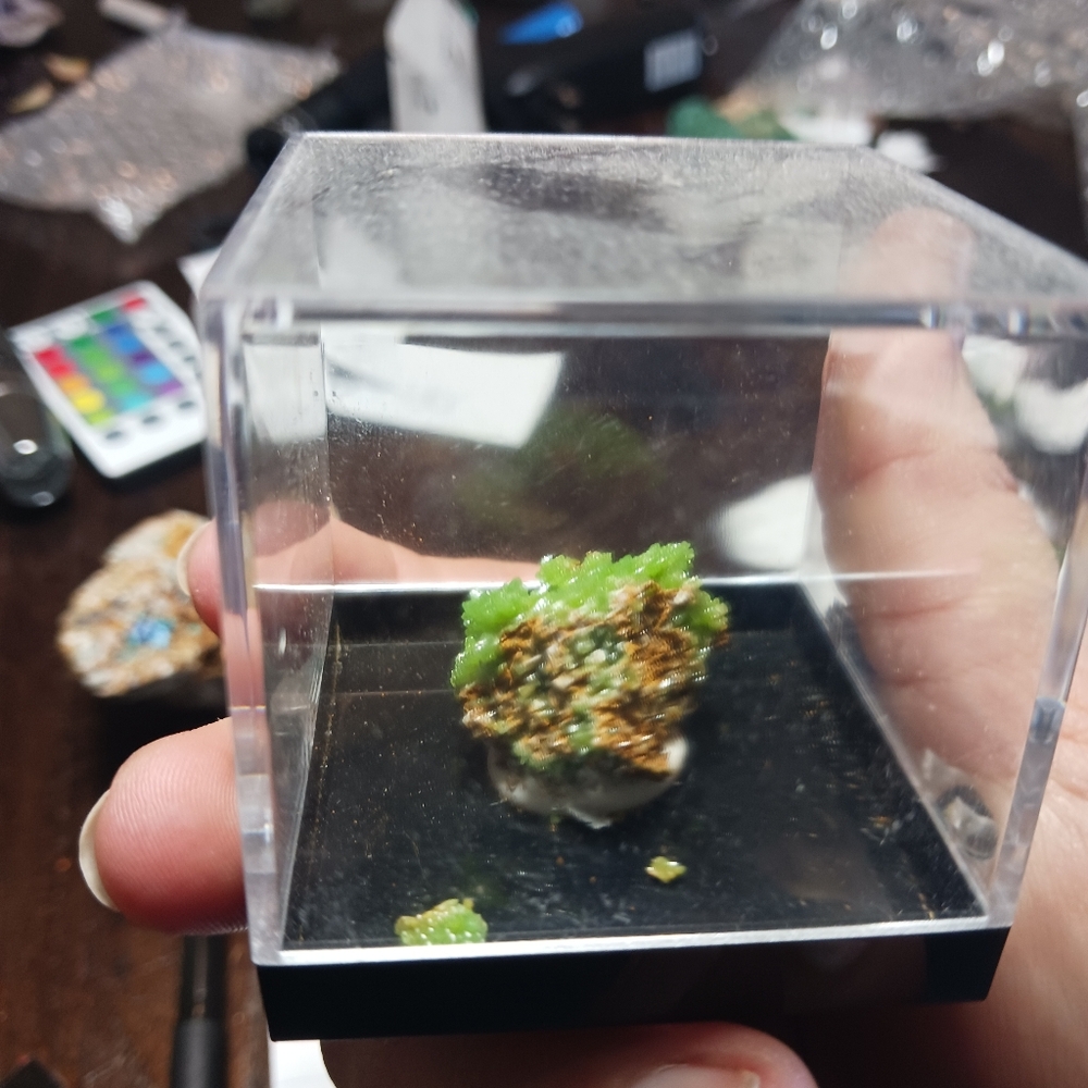Polymorphite